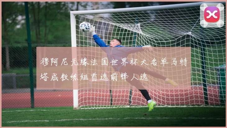 穆阿尼无缘法国世界杯大名单马特塔成教练组首选前锋人选