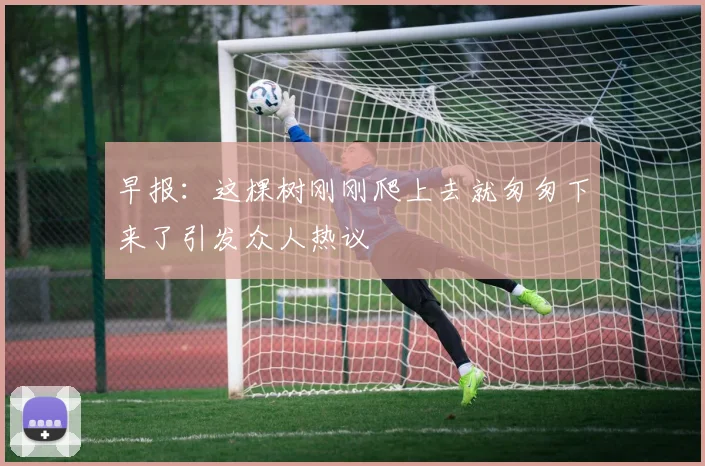 早报：这棵树刚刚爬上去就匆匆下来了引发众人热议